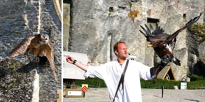 Falkner mit einem Greifvogel im Belgien Urlaub