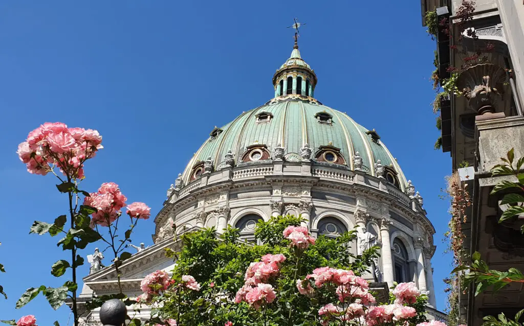 Die beeindruckende Kuppel der Frederikskirche (Marmorkirche) in Kopenhagen, Dänemark, umgeben von blühenden Rosen unter strahlend blauem Himmel.